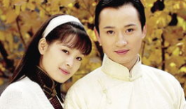 荀慧生电视剧全集,电视剧全集精彩回顾